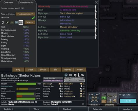 rimworld painstopper.